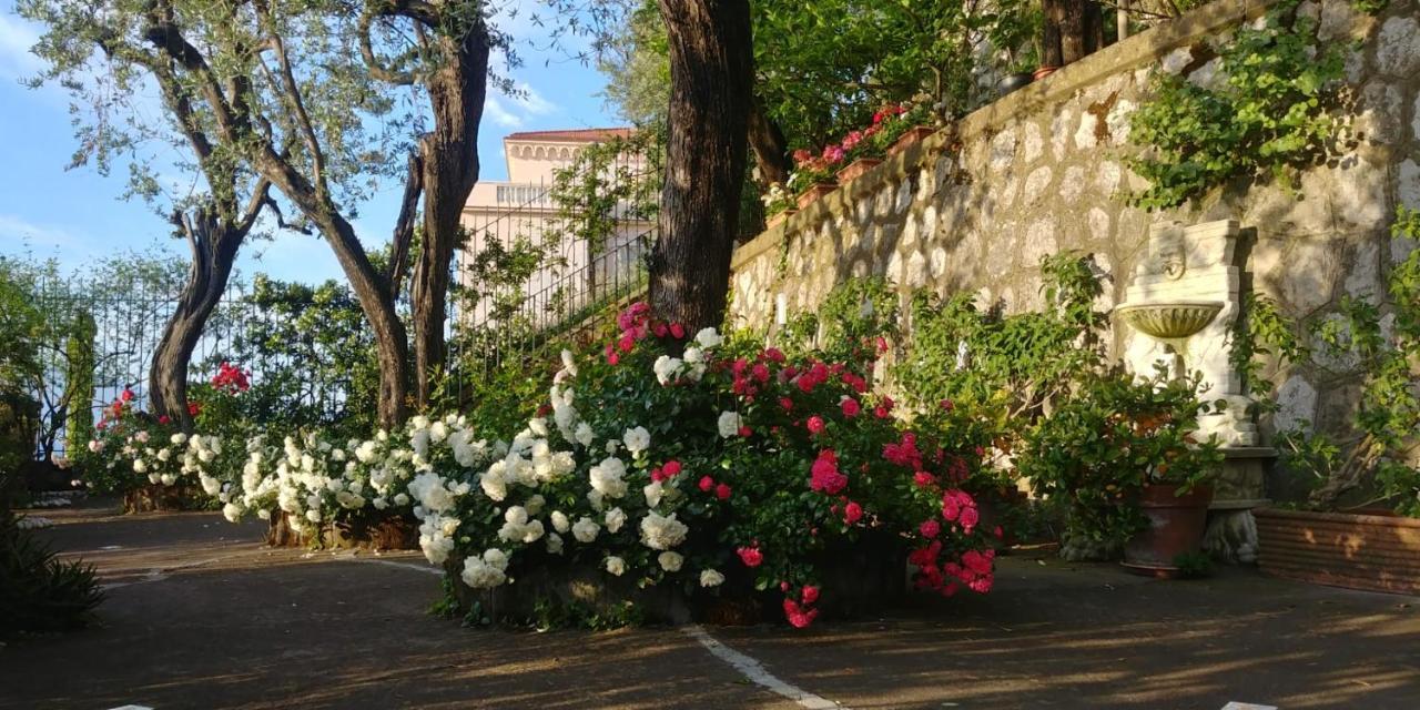 Villa L'Ulivina Sorrento Luaran gambar