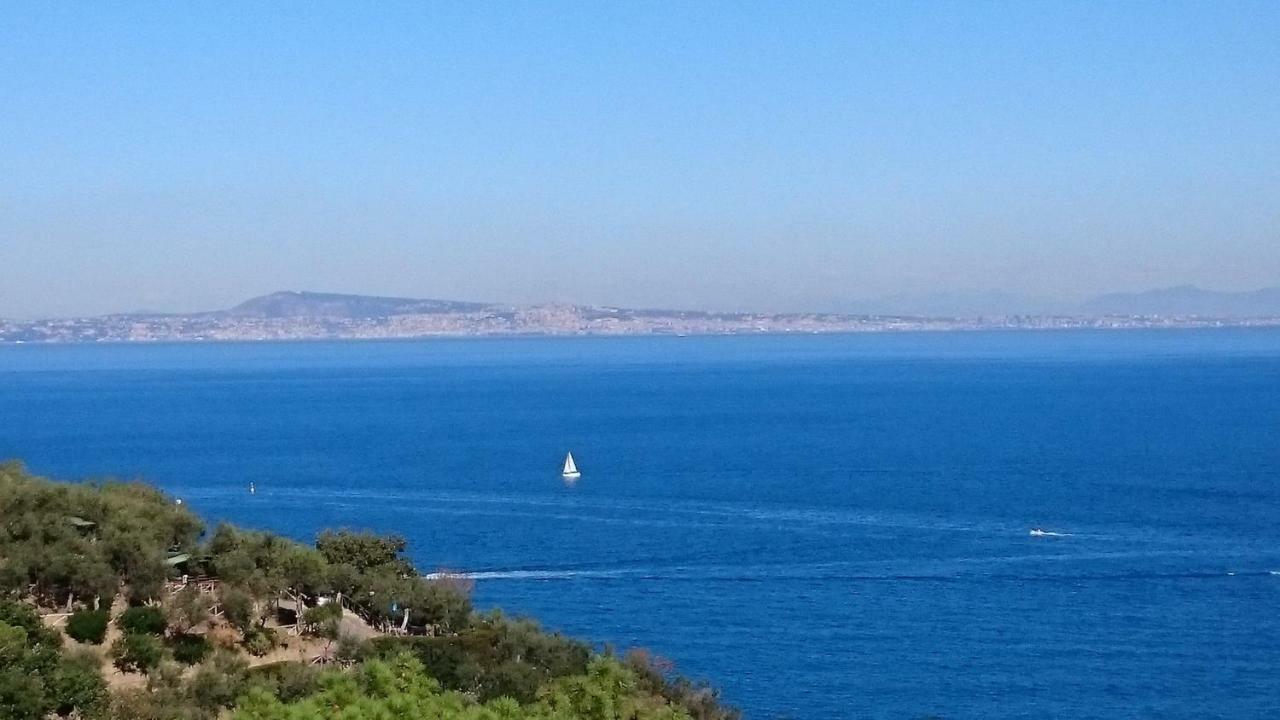 Villa L'Ulivina Sorrento Luaran gambar