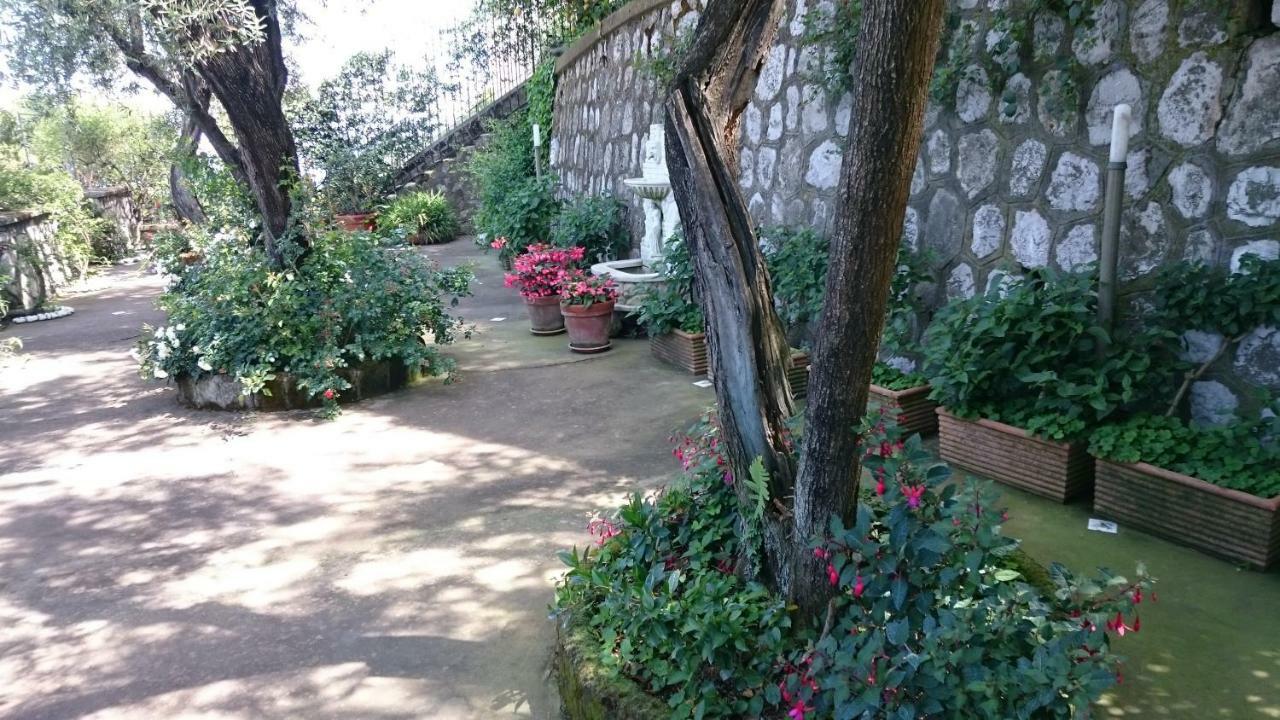 Villa L'Ulivina Sorrento Luaran gambar