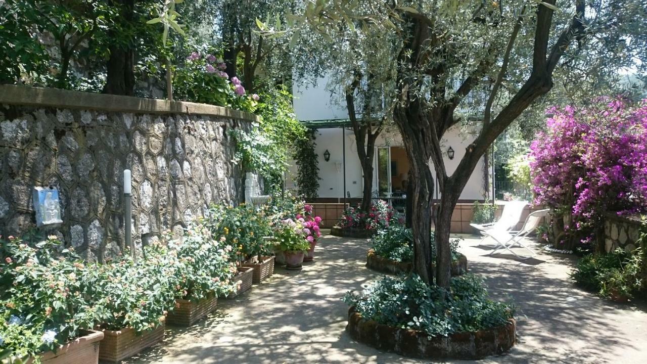 Villa L'Ulivina Sorrento Luaran gambar