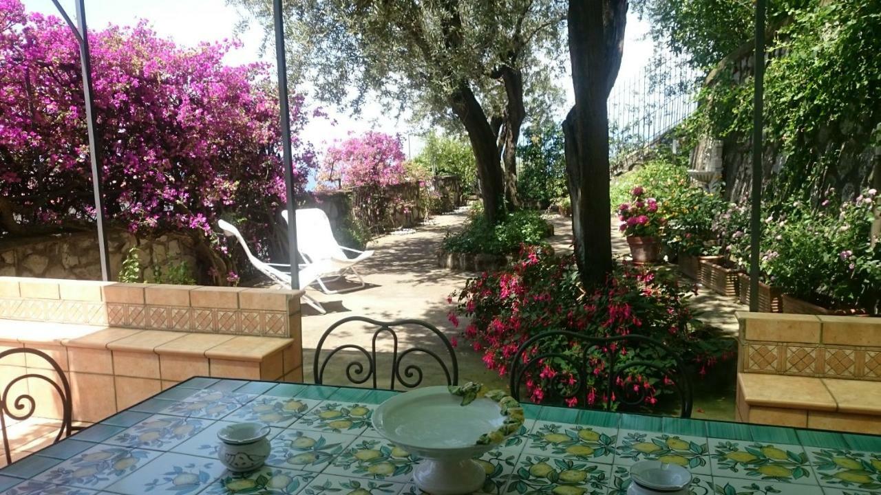 Villa L'Ulivina Sorrento Luaran gambar