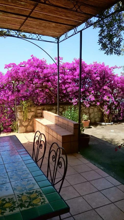 Villa L'Ulivina Sorrento Luaran gambar